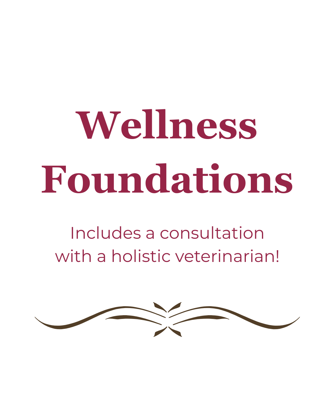 Wellness Foundations (includes consult with holistic vet)