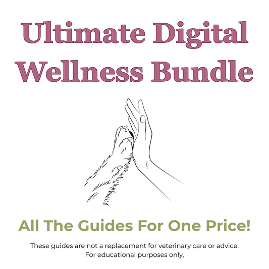 The Ultimate Digital Wellness Bundle