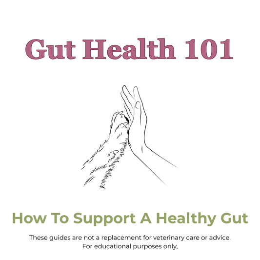 Gut Health 101