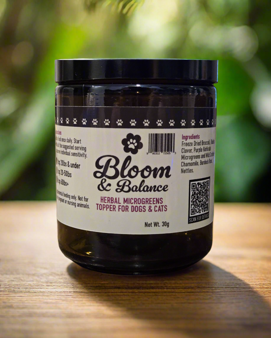 Glass jar with Bloom & Balance herbal microgreens for dogs and cats displayed in a handwritten font. Net wt. 30g